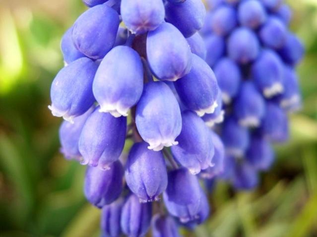 Name:  CIMG0023.jpg
Views: 1147
Size:  32.6 KB