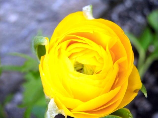 Name:  CIMG0028.jpg
Views: 771
Size:  28.3 KB
