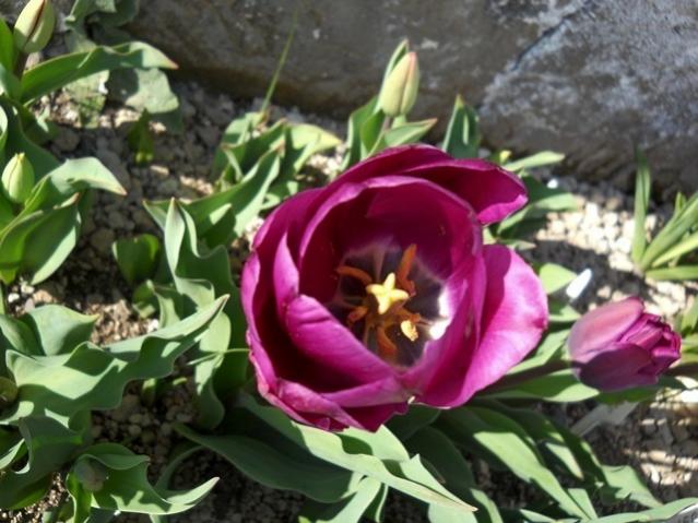 Name:  DSCN4767.jpg
Views: 732
Size:  52.7 KB