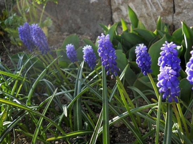 Name:  DSCN4780.jpg
Views: 706
Size:  59.3 KB