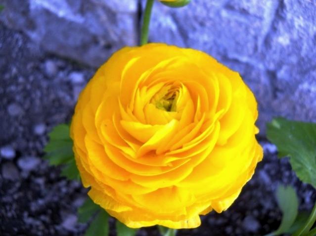 Name:  DSCN4794.jpg
Views: 718
Size:  34.8 KB