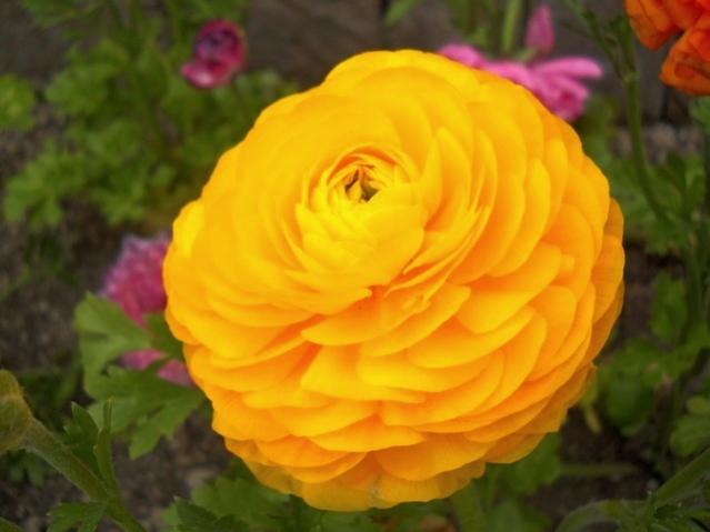Name:  DSCN4847.jpg
Views: 814
Size:  30.7 KB