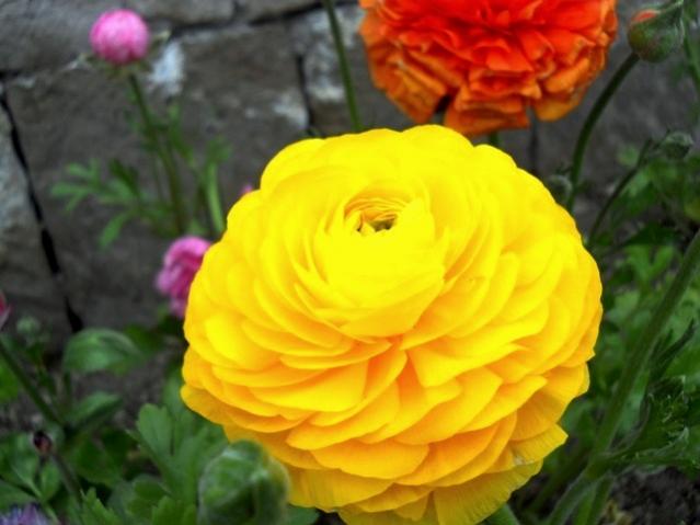 Name:  DSCN4852.jpg
Views: 795
Size:  35.5 KB