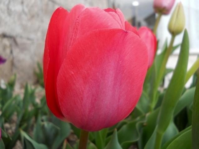 Name:  DSCN4856.jpg
Views: 778
Size:  29.3 KB