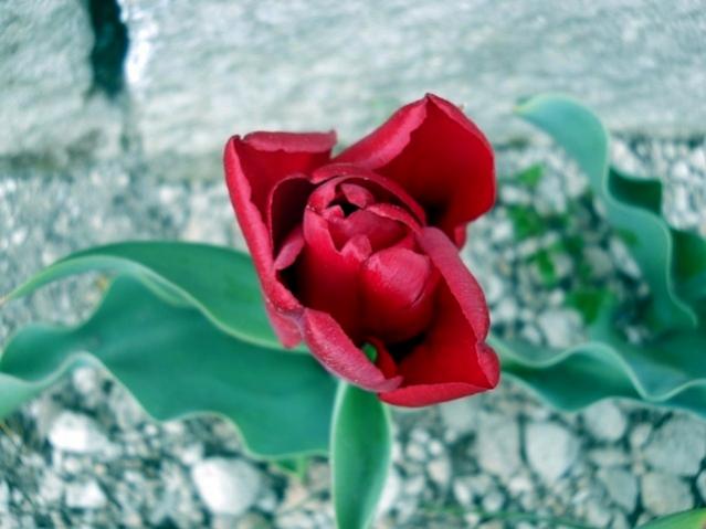 Name:  DSCN4868.jpg
Views: 770
Size:  36.1 KB