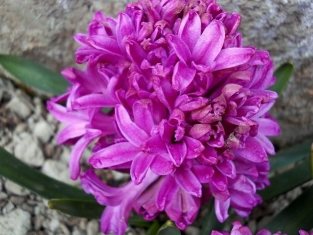Name:  DSCN4889.jpg
Views: 805
Size:  48.9 KB