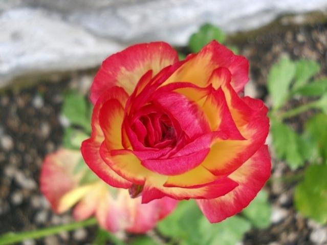 Name:  DSCN4896.jpg
Views: 826
Size:  35.1 KB