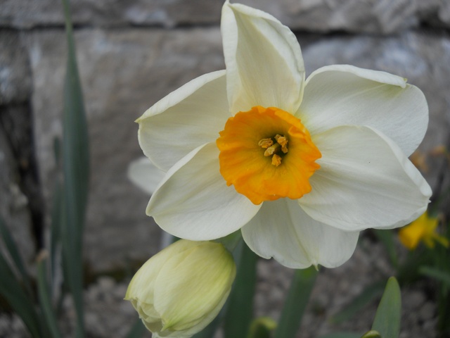 Name:  DSCN4917.JPG
Views: 772
Size:  69.7 KB