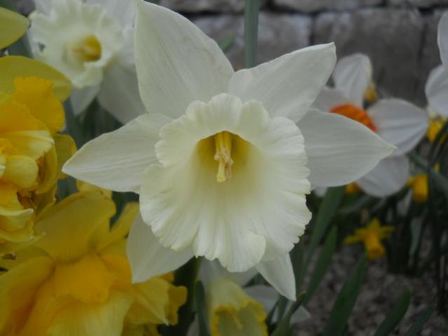 Name:  DSCN4918.jpg
Views: 781
Size:  25.6 KB