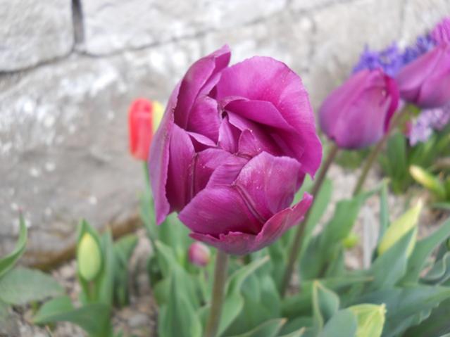 Name:  DSCN4920.jpg
Views: 896
Size:  31.7 KB