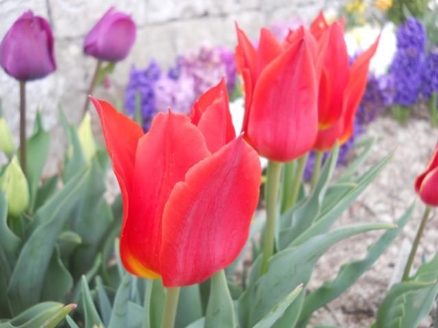 Name:  DSCN4923.jpg
Views: 820
Size:  35.3 KB
