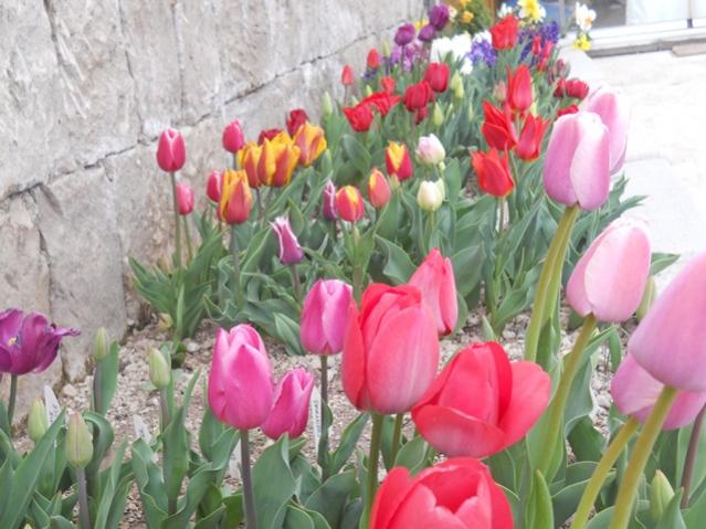 Name:  DSCN4963.jpg
Views: 855
Size:  53.3 KB