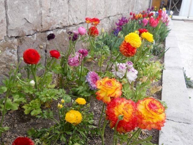 Name:  DSCN4935.jpg
Views: 780
Size:  62.8 KB