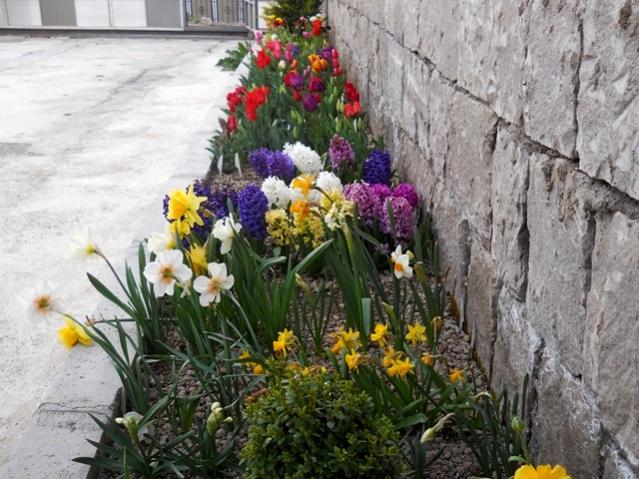 Name:  DSCN4937.jpg
Views: 747
Size:  64.9 KB