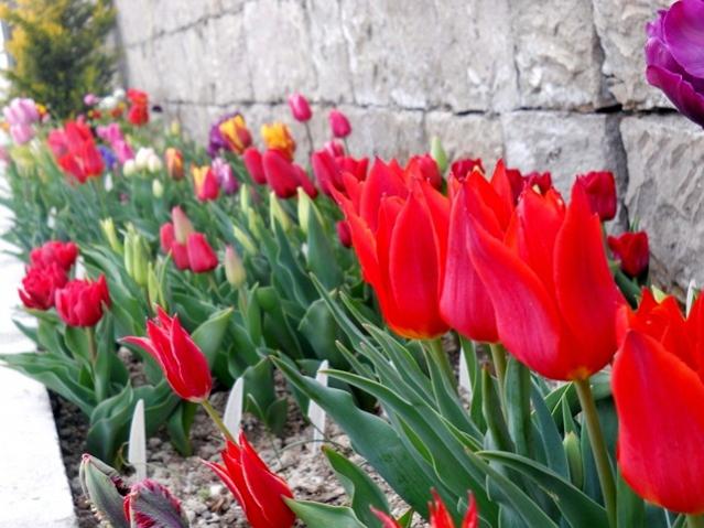 Name:  DSCN4962.jpg
Views: 739
Size:  53.3 KB
