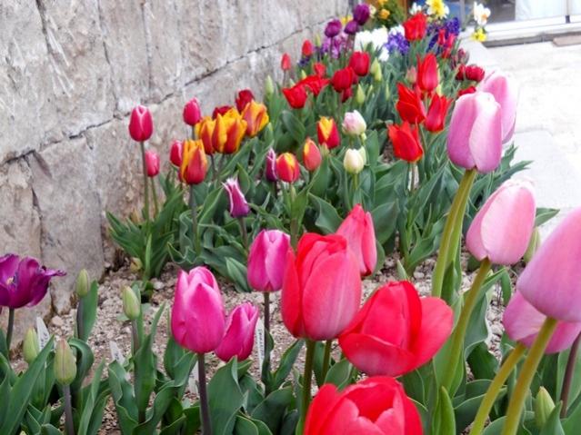 Name:  DSCN4963.jpg
Views: 766
Size:  59.7 KB