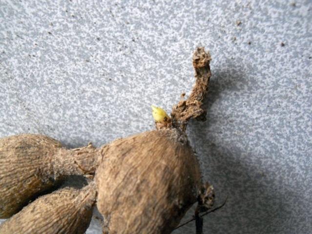Name:  DSCN4990.jpg
Views: 774
Size:  56.9 KB