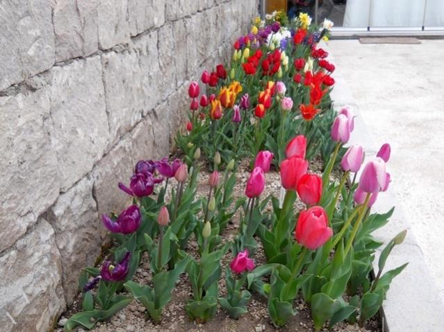 Name:  DSCN5006.jpg
Views: 753
Size:  60.4 KB