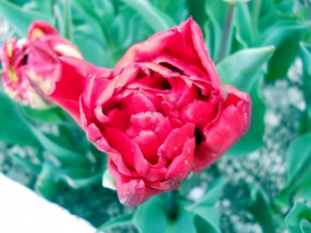 Name:  DSCN5018.jpg
Views: 721
Size:  40.2 KB