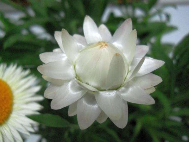 Name:  DSCN5173.jpg
Views: 1290
Size:  29.1 KB