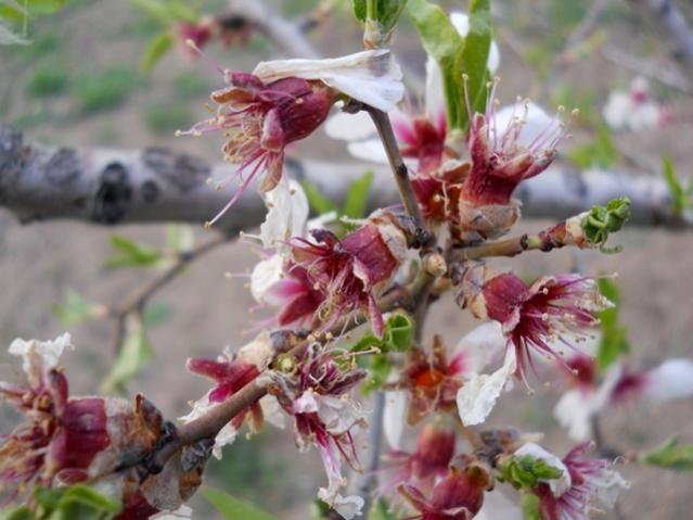 Name:  DSCN5254.jpg
Views: 1159
Size:  43.8 KB