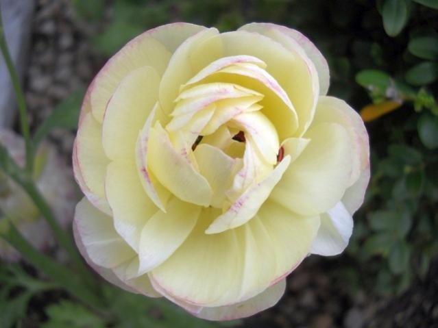 Name:  DSCN5330.jpg
Views: 1119
Size:  28.4 KB