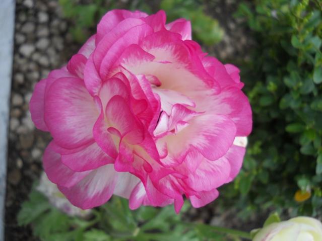 Name:  DSCN5329.jpg
Views: 1106
Size:  35.2 KB