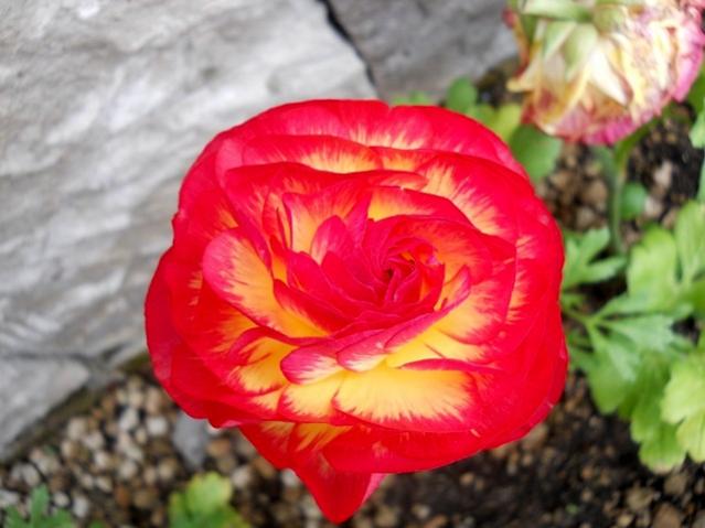 Name:  DSCN5332.jpg
Views: 1163
Size:  40.6 KB