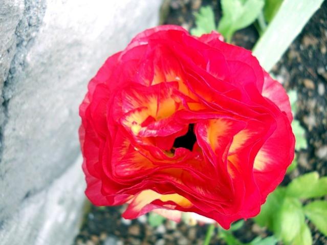 Name:  DSCN5333.jpg
Views: 1094
Size:  40.4 KB