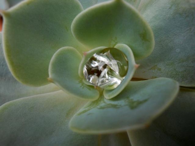 Name:  DSCN5340.jpg
Views: 1012
Size:  25.7 KB