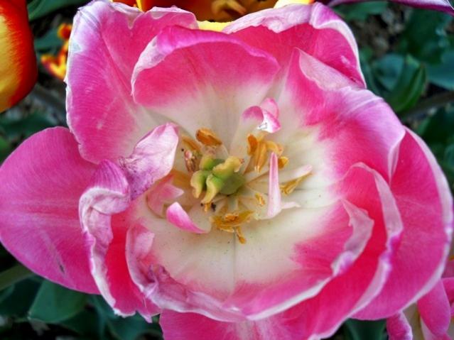 Name:  DSCN5373.jpg
Views: 1008
Size:  42.6 KB