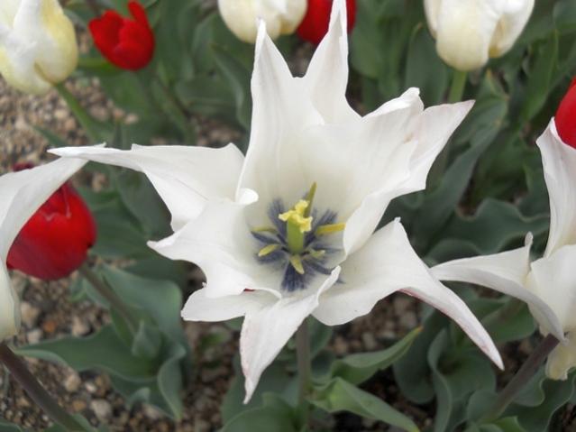 Name:  DSCN5378.jpg
Views: 986
Size:  33.5 KB