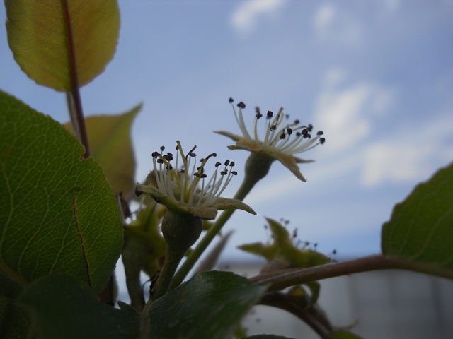 Name:  DSCN5455.JPG
Views: 955
Size:  69.9 KB