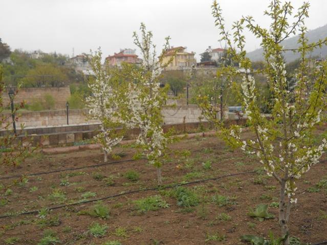 Name:  DSCN5566.jpg
Views: 861
Size:  58.8 KB
