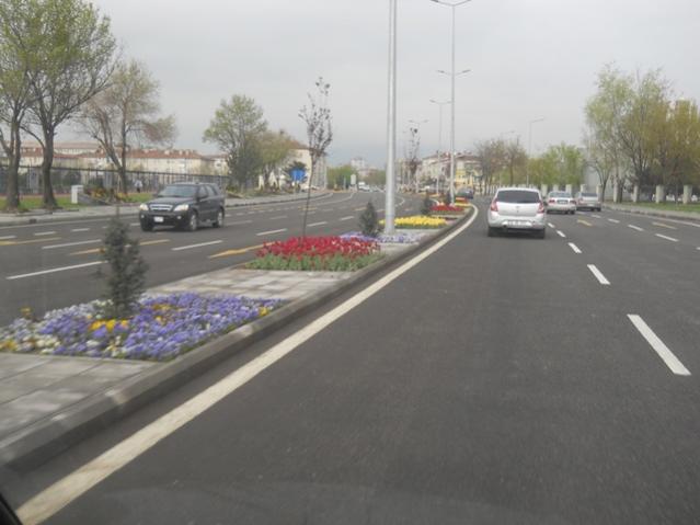 Name:  DSCN5567.jpg
Views: 831
Size:  34.7 KB