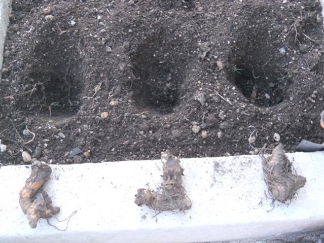 Name:  DSCN5711.jpg
Views: 666
Size:  59.9 KB