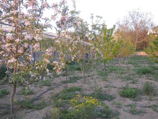 Name:  DSCN5757.jpg
Views: 659
Size:  68.0 KB
