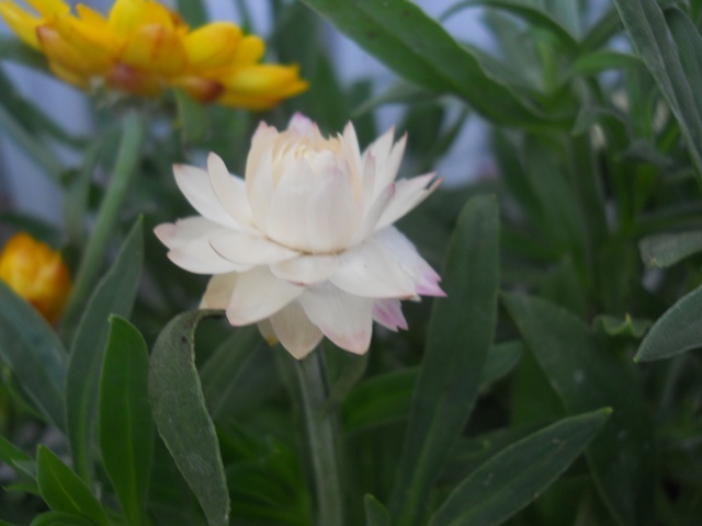 Name:  DSCN5773.JPG
Views: 972
Size:  66.8 KB
