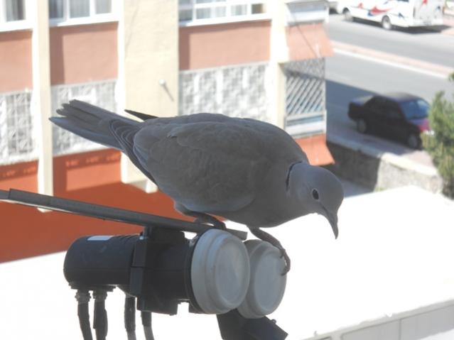 Name:  DSCN5776.jpg
Views: 975
Size:  28.4 KB