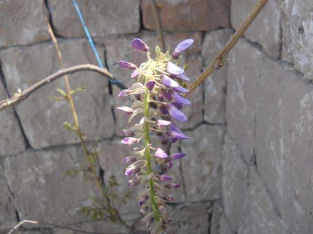 Name:  DSCN5785.jpg
Views: 953
Size:  33.8 KB