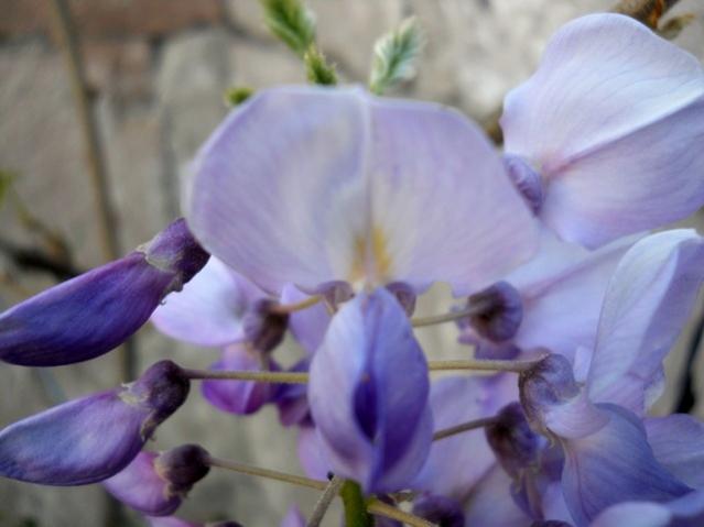 Name:  DSCN5807.jpg
Views: 911
Size:  29.5 KB