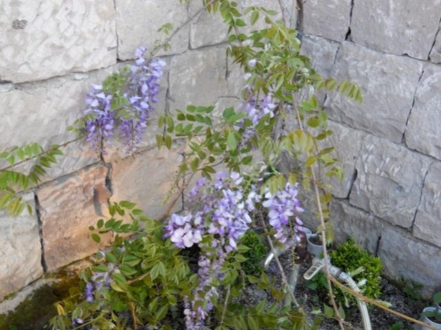 Name:  DSCN5896.jpg
Views: 744
Size:  59.8 KB