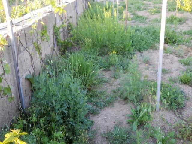 Name:  DSCN5900.jpg
Views: 722
Size:  65.8 KB