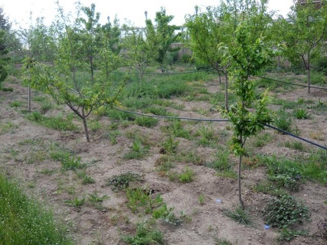 Name:  DSCN5919.jpg
Views: 724
Size:  69.9 KB