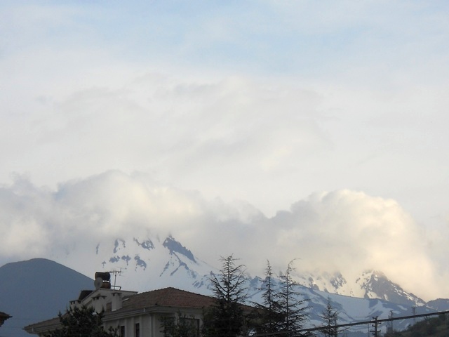 Name:  DSCN6142.JPG
Views: 1050
Size:  58.2 KB