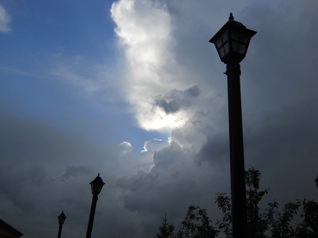 Name:  DSCN6144.JPG
Views: 1045
Size:  58.0 KB