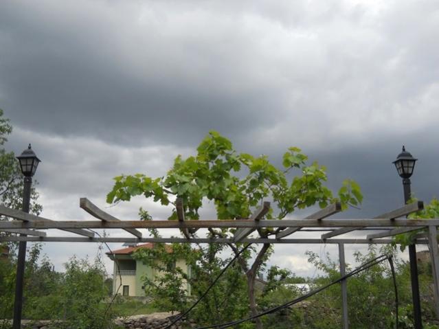 Name:  DSCN6236.jpg
Views: 748
Size:  39.8 KB