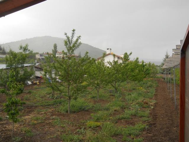 Name:  DSCN6249.jpg
Views: 792
Size:  42.8 KB