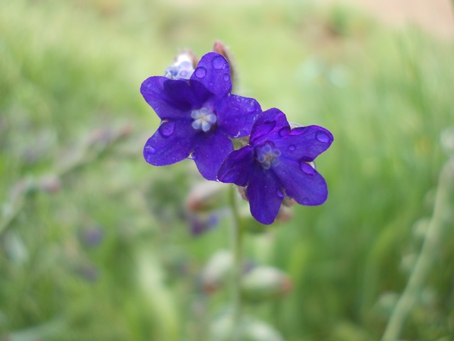 Name:  DSCN6278.JPG
Views: 757
Size:  62.8 KB