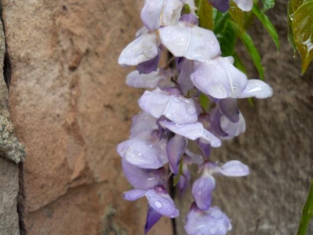 Name:  DSCN6262.jpg
Views: 781
Size:  39.5 KB
